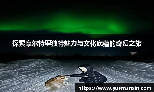 JJB竞技宝官网
